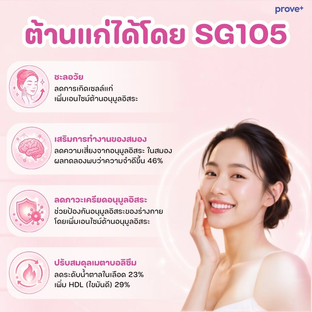 อินโฟกราฟิกข้อมูลการศึกษาของโพรไบโอติก SG105