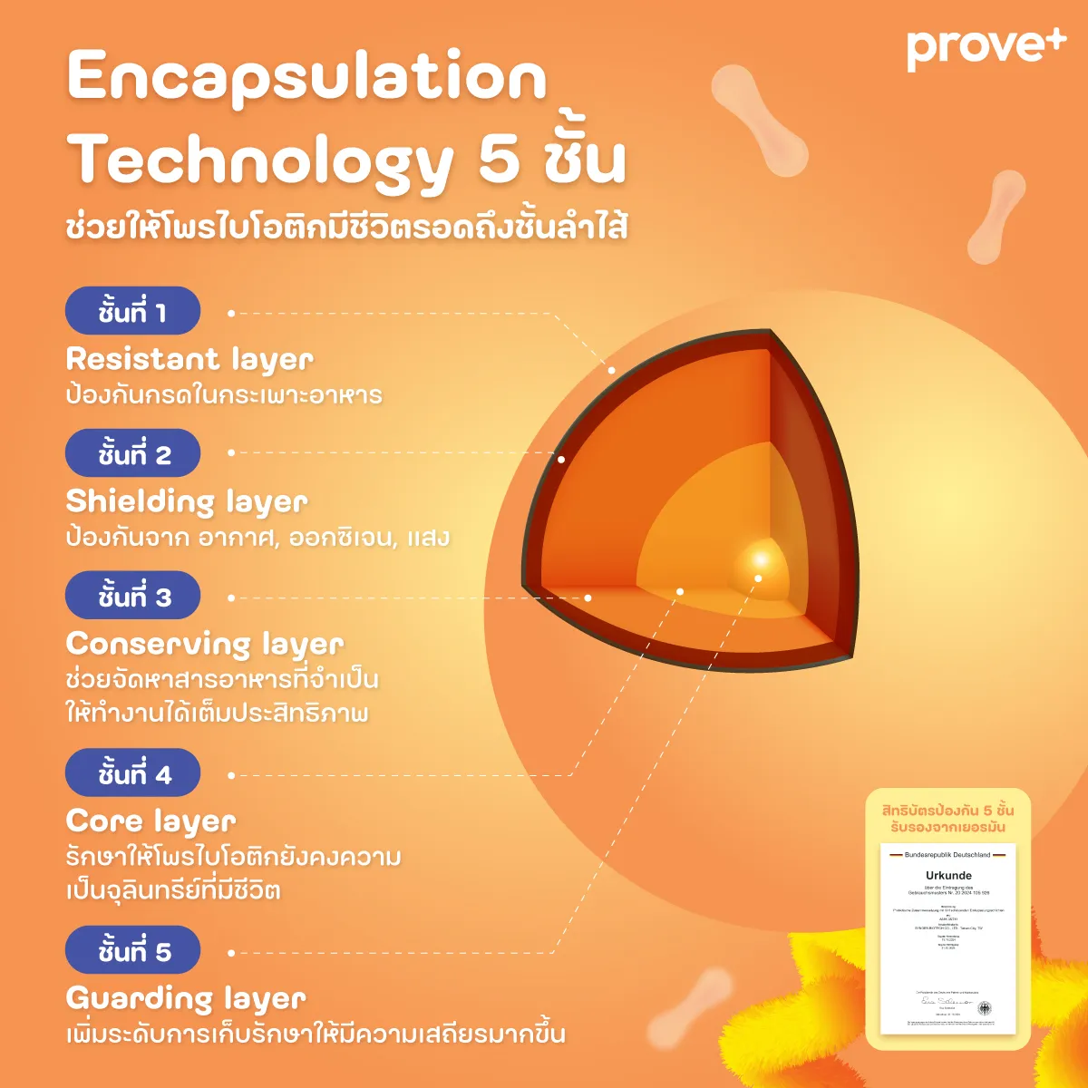 prove+ ALLERPRO thumbnail 3