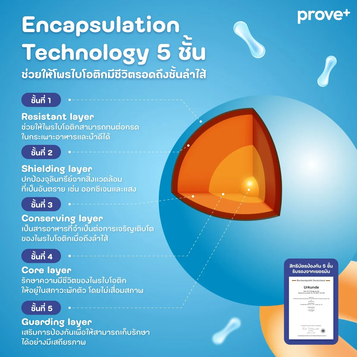 prove+ FLOWPRO thumbnail 6